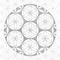 Flower of life cells.png